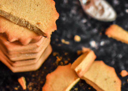 Chickpea Flour Biscotti Cookies {vegan, grain-free}