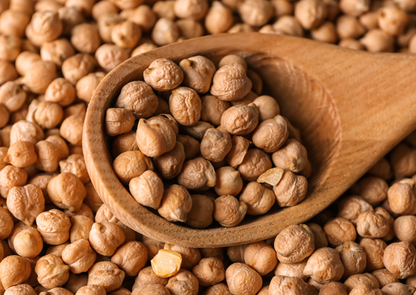 Premium Dried Chickpeas