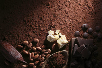 Healthy Cocoa Chocolate (3 Slabs per pack)