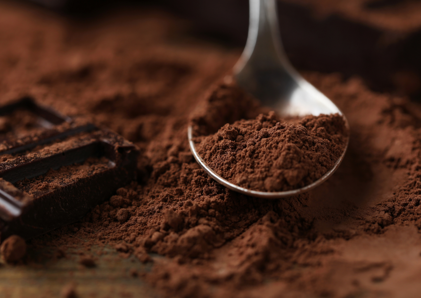 Raw Cacao Powder – Normal & Dark Roasted